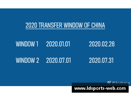 球员转会市场分析：数据揭示2024年夏季转会窗口的最新趋势